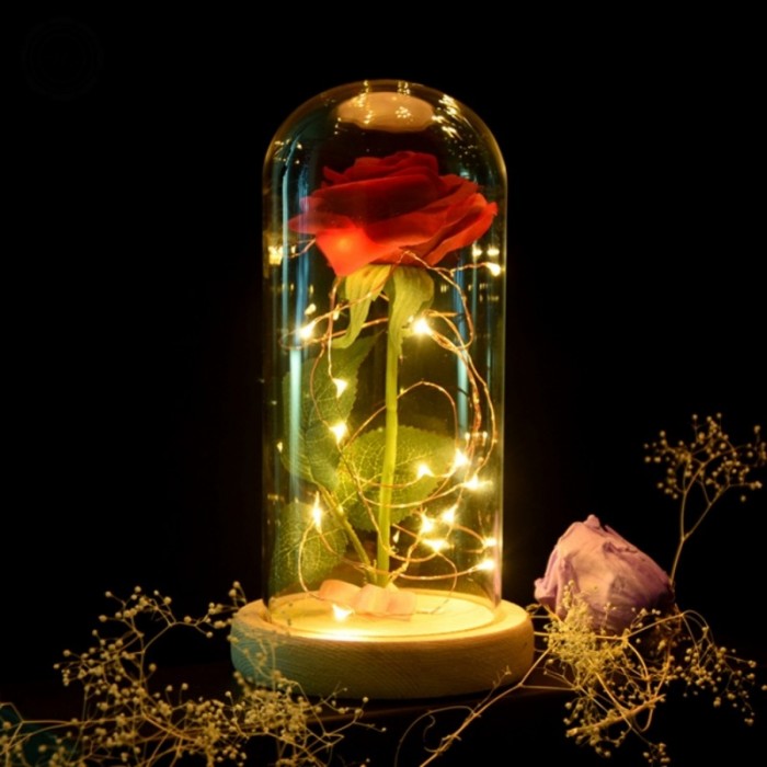 ורד אדום בפעמון זכוכית