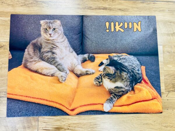 שטיח מייאו - בהדפסת חתולים